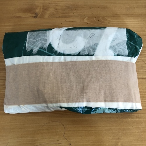 fullsizeoutput_17c2_コピー